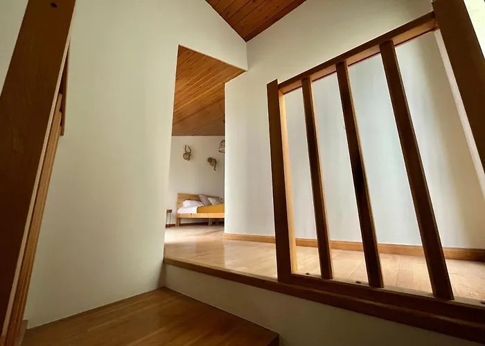 Vive Iv * 사라고사